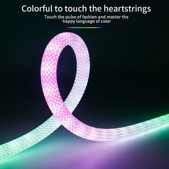 360 Piexl Dia25 23mm 24V RGB IC Neon Flex LED Light