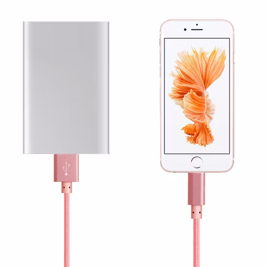 Accessori per telefoni cellulari a ricarica rapida a 8 pin per telefono 11/12/13