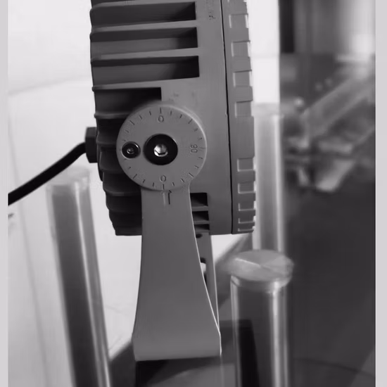 Fabbrica di produzione Paesaggio all'aperto Giardino Woods Park Roadside Stadium Die